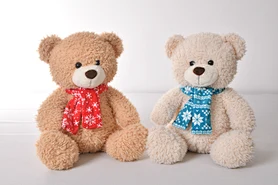 14 "2 Color Christmas Bear
